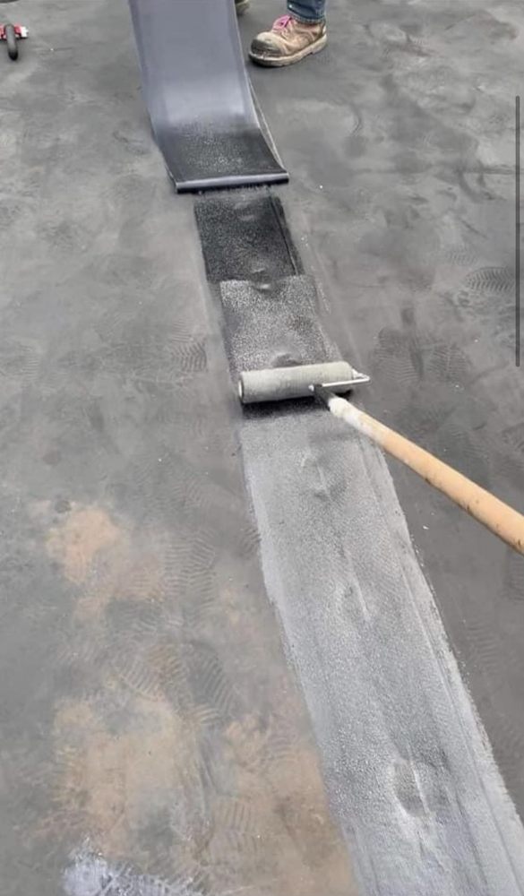 Slide of Sealtech Nation