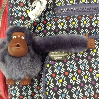 Kipling - Luggage Near Me - Las Vegas, Nevada