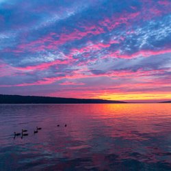 Ithaca Boat Tours