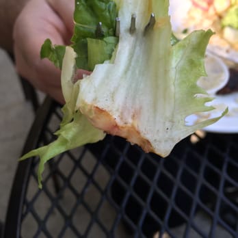 Agora Midtown - This is what you get at Cafe Angora. I don't even want to think about the meat. - Mediterranean Near Me - Atlanta, Georgia
