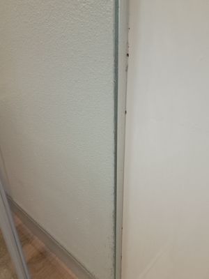 Legacy Hotel at IMG Academy by null