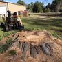 Photo of Tyler Stump Grinding
