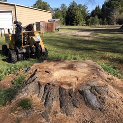 Tyler Stump Grinding