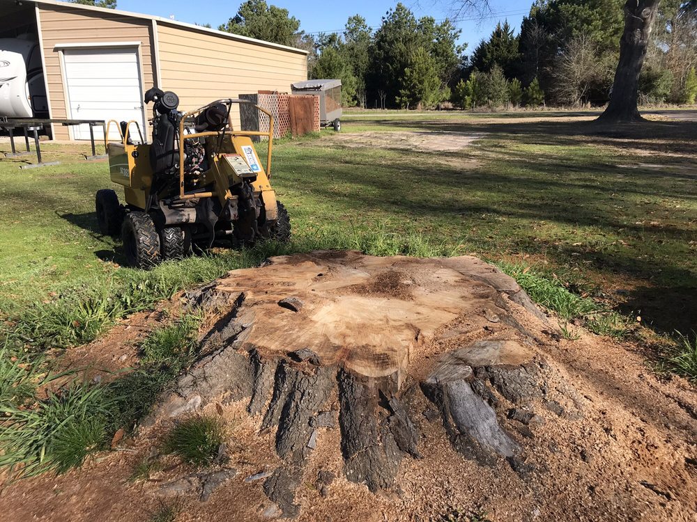 TYLER STUMP GRINDING Updated June 2024 34 Photos 1738 Sampson Dr