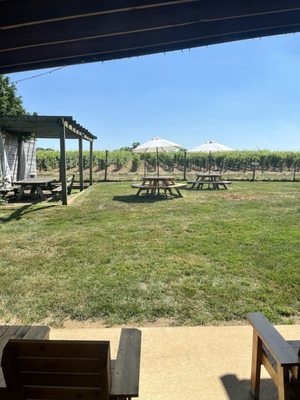 Va La Vineyards by null