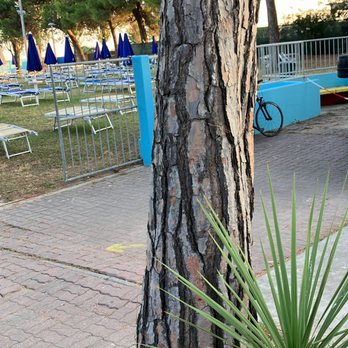 Parco Termale Acquatico - Beaches Near Me - Grado, GO