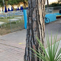 Parco Termale Acquatico