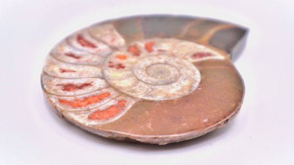 A&A Rockshop, 1614 W Main St, Lexington, SC 29072, US - MapQuest