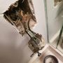 Photo of Paul's Handyman Solutions