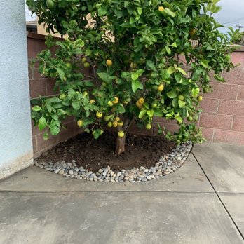 Castillo Landscaping - Landscaping Near Me