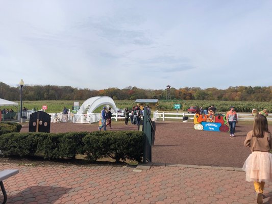 Springdale Farm Market by null