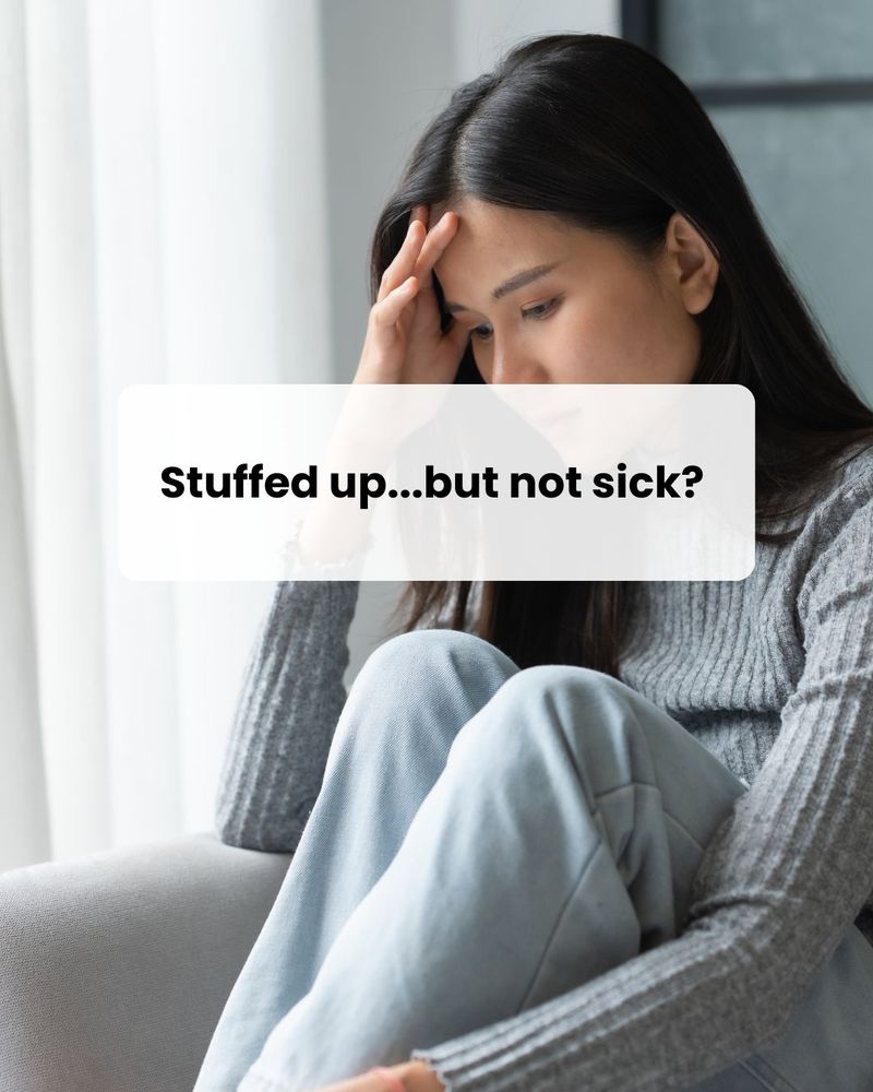 Stacy Cheng Suzuki Logo