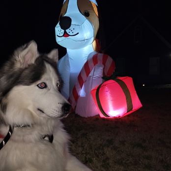 Lake Pawse - Pet Sitting Near Me Lake Pawse - Pet Sitting Near Me