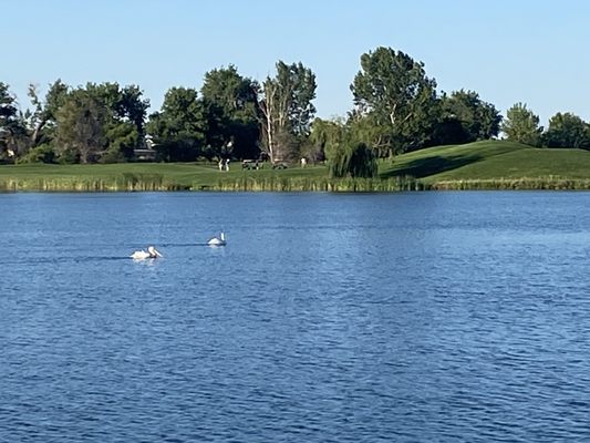 The Grillhouse and Sand Bar at Pelican Lakes