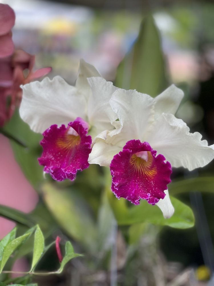 FRUIT & SPICE PARK 656 Photos & 154 Reviews 24801 SW 187th Ave