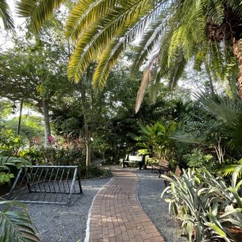 Ernest Hemingway Home  - Museums Near Me - Key West, Florida