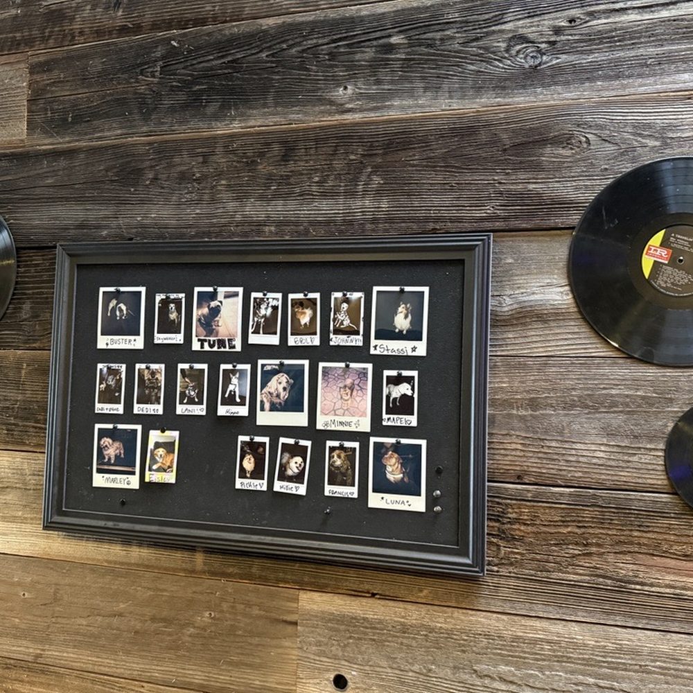 The Beerded Bean - Pup Wall! - Coffee & Tea Near Me - Salinas, California The Beerded Bean - Pup Wall! - Coffee & Tea Near Me - Salinas, California