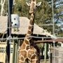 Photo of Blank Park Zoo