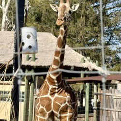 Blank Park Zoo