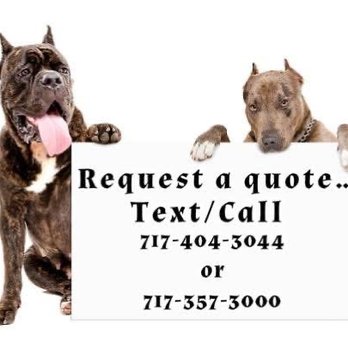 Pool’s Pet Transportation - Pet Transportation Near Me Pool’s Pet Transportation - Pet Transportation Near Me