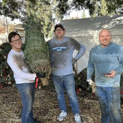 Nativity School Christmas Tree Lot - Dedicated parent volunteers