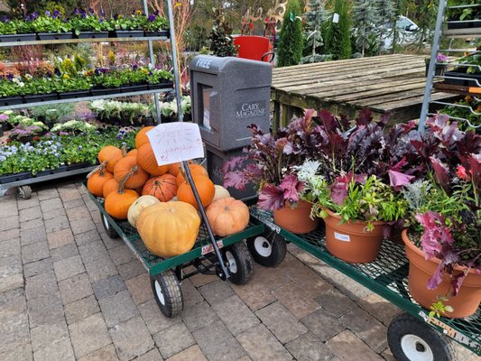 Garden Supply Company by null