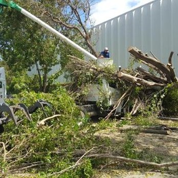 Abraham Professional Tree Service - Tree Services Near Me - Miami, Florida
