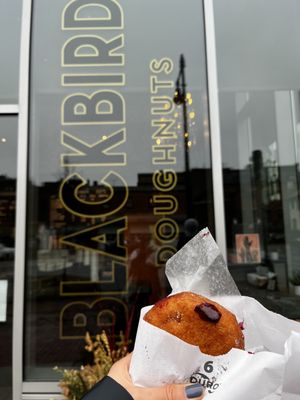 Blackbird Doughnuts Beacon Hill by null