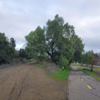 Los Alamitos Creek Trail - Paved trail, and horse trail - Hiking Near Me - San Jose, California Los Alamitos Creek Trail - Paved trail, and horse trail - Hiking Near Me - San Jose, California