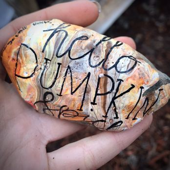 Pecan Park - Rock I took home from their Rock Garden, cuz we'll you know lol! @orangevalerocks on Instagram - Parks Near Me - Orangevale, California