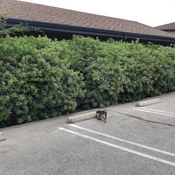 Neri's Tree Service - Tree Services Near Me Neri's Tree Service - Tree Services Near Me