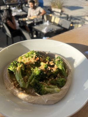 Wynona Toronto by null Wynona Toronto by null