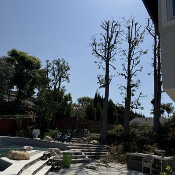 Parga Landscape & Trees - Landscaping Near Me