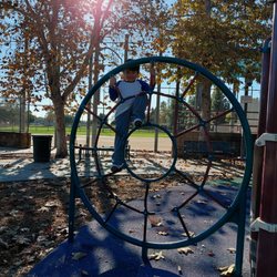Bastanchury Park - Spider web