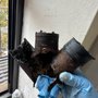 Photo of Top Restorations LLC