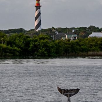 St. Augustine Shipyard - Marinas Near Me - St. Augustine, Florida