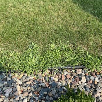 TruGreen Lawn Care - a close up view of a lawn - Tree Services Near Me - Maple Grove, Minnesota