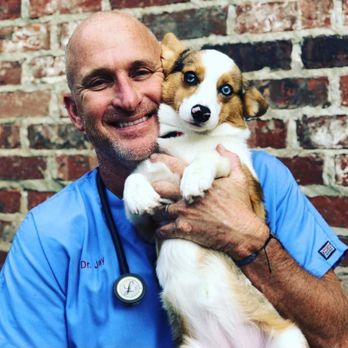 Facts About Asga Call 71 Replay: What You Need To Know About Sheep Health ... Revealed thumbnail