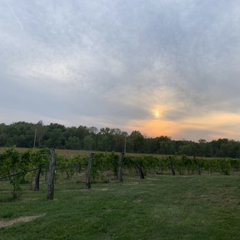 Cedar Valley Winery - sunset over the vineyard - Wineries Near Me - Batavia, Iowa Cedar Valley Winery - sunset over the vineyard - Wineries Near Me - Batavia, Iowa