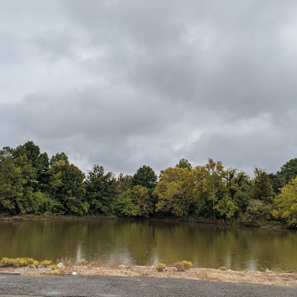 Ditto Landing - Marinas Near Me - Huntsville, Alabama Ditto Landing - Marinas Near Me - Huntsville, Alabama
