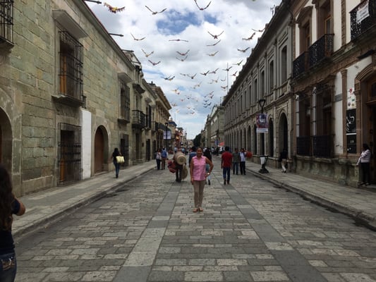 Andador Turístico by null