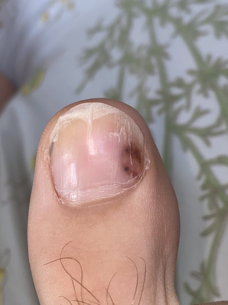 FANCY NAIL & SPA Updated August 2024 24 Photos & 21 Reviews 638