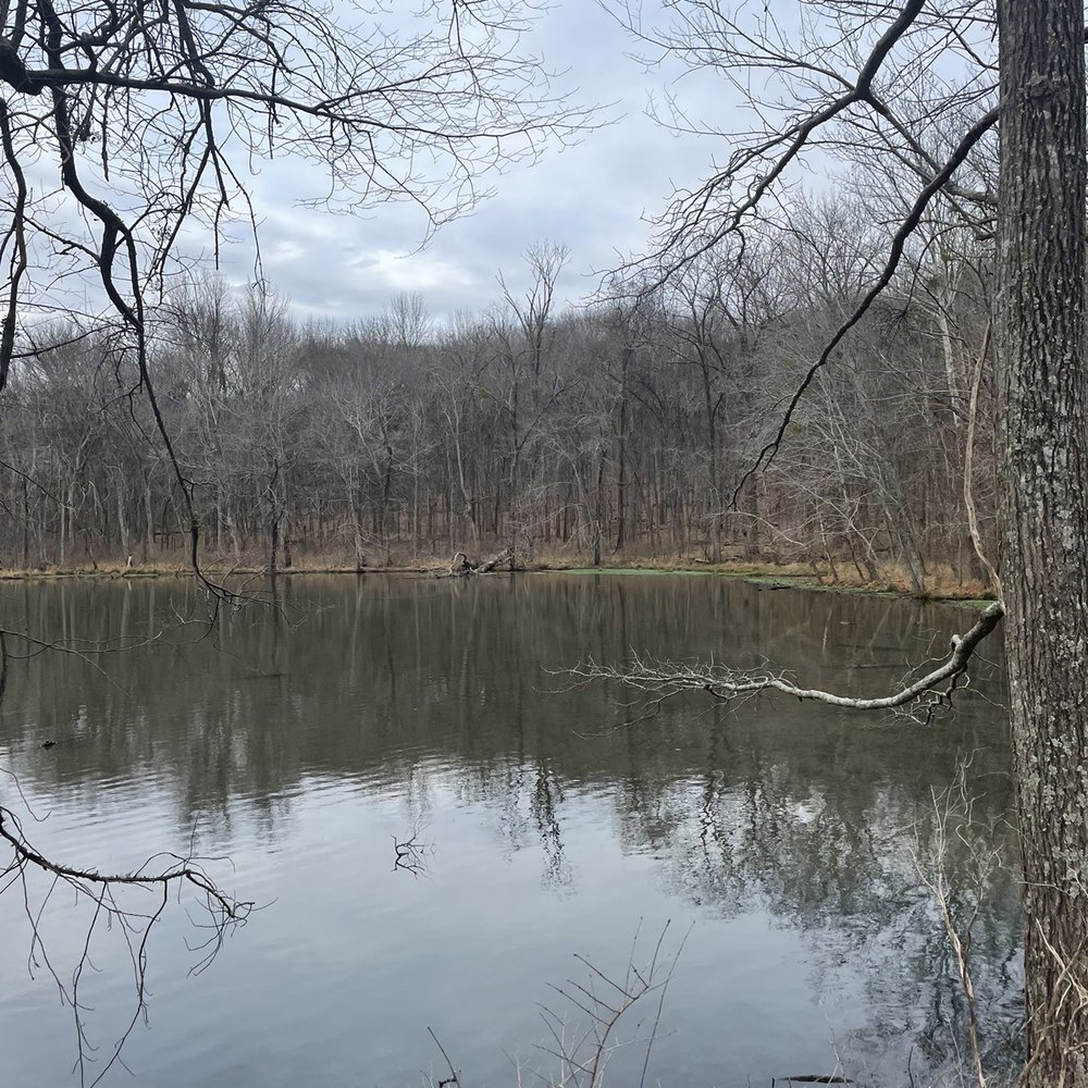 Radnor Lake State Park - Parks Near Me - Nashville, Tennessee Radnor Lake State Park - Parks Near Me - Nashville, Tennessee