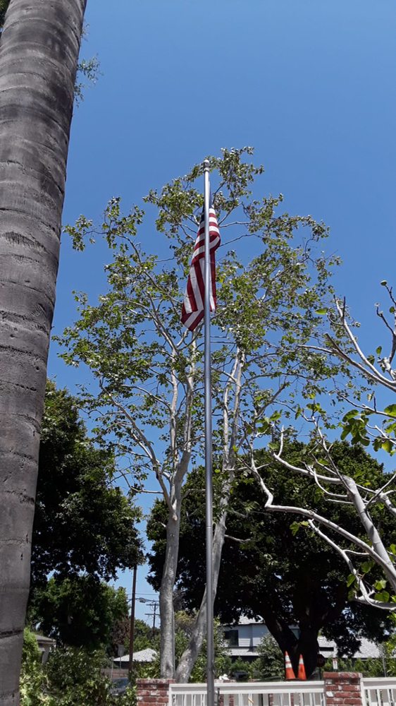 Affordable Tree Care - tree service in Los Angeles, CA