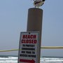 Photo of Cape May National Wildlife Refuge