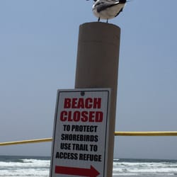 Cape May National Wildlife Refuge