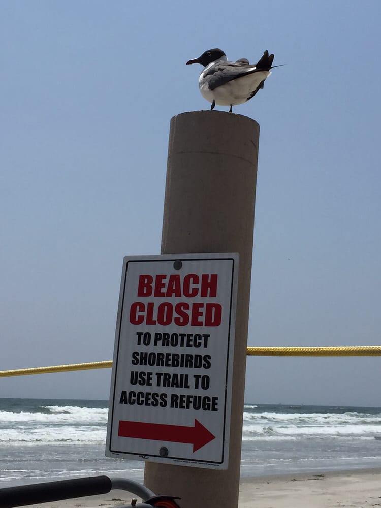 Cape May National Wildlife Refuge Image