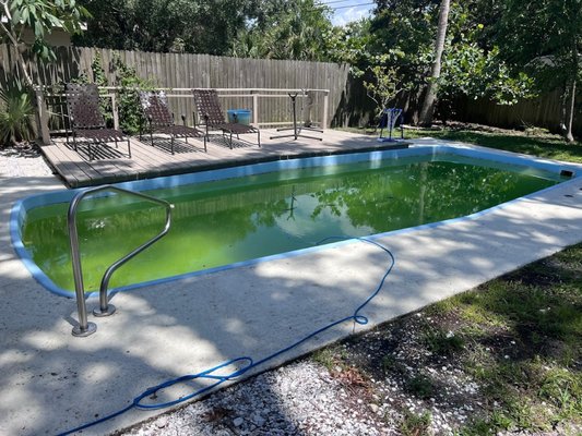 Economy Pool of Florida