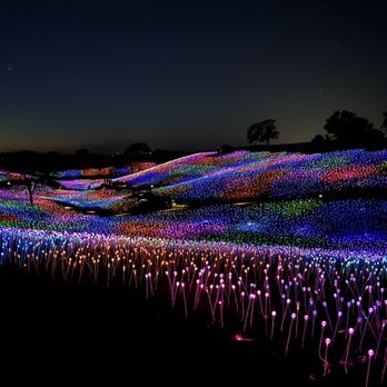 Sensorio - Art Galleries Near Me - Paso Robles, California Sensorio - Art Galleries Near Me - Paso Robles, California
