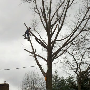 Bradford's Excavating & Tree Service - Tree Services Near Me Bradford's Excavating & Tree Service - Tree Services Near Me